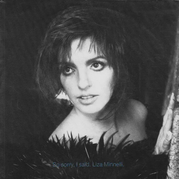 ペット・ショップ・ボーイズ So Sorry, I Said リミックス CD So sorry, I said — Pet Shop Boys