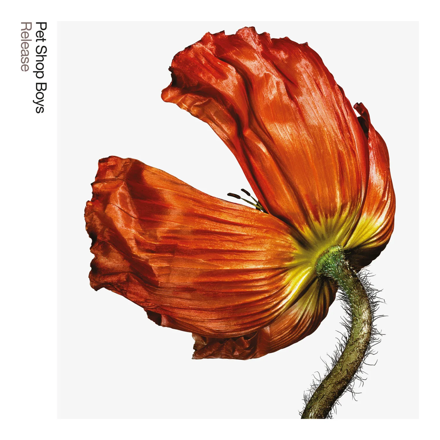 ペットショップボーイズ (Further Listening) 25CD Release/Further listening: 2001-2004 (2017 remaster) — Pet Shop Boys